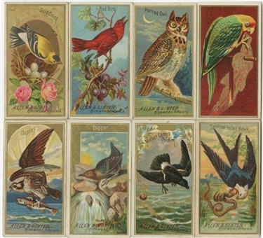 1880s N4 Allen & Ginter "Birds of America" Complete Set (50)